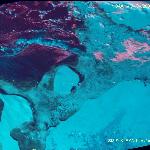 Лед в Баренцевом море