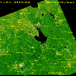 Район Рыбинского водохранилища (вегетационный индекс)