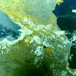 Солнечное затмение 