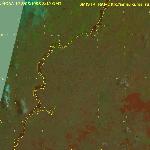 Гарь после пожара