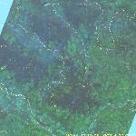 Лесные пожары в Архангельской области и республике Коми