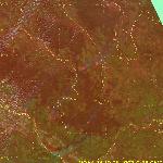 Лесные пожары в Архангельской области и республике Коми