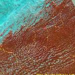 Лесные пожары в Архангельской области и республике Коми