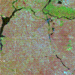Пожар рядом с г. Волгоград