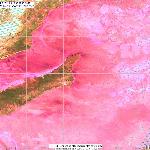 Ледовая обстановка на севере острова Ольхон (Байкал) 12.01.2011