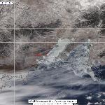 Пожары в Приморском крае