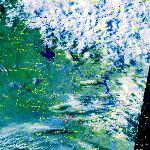 Пожары в центральном регионе России (15-16).08.2002