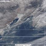 Динамика ледовой обстановки в заливе Петра Великого в Японском море, 21.01.2012