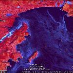 Ледовая обстановка в заливе Находки