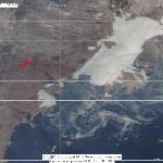 Пожары в Приморском крае 28.02.2012 