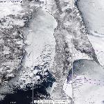 Динамика ледовой обстановки в Татарском проливе