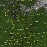 Пожары в центральном регионе России (19-25).07.2002
