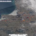 Палы в Калининградской области