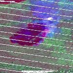 Пожар 63129 в Хабаровском крае, Landsat 7, улучшенное изображение